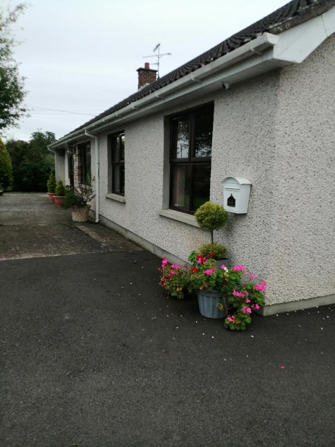 Lynn'S Lodge, International Airport 15Mins Randalstown Экстерьер фото